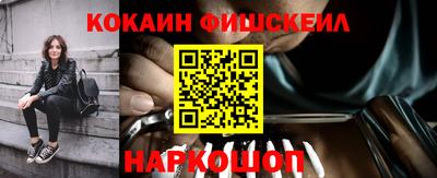 гидра Новозыбков