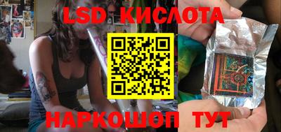 гидра Новозыбков