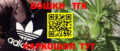 гидра Новозыбков