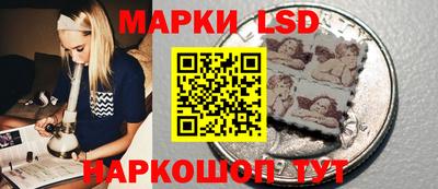 стаф Новодвинск