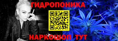 стаф Новодвинск