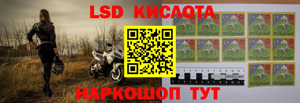 Свободный  LSD-25 экстази ecstasy  LSD-25 экстази  LSD-25 экстази ecstasy  Вход с VPN 