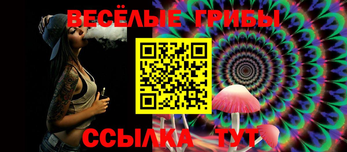 Галлюциногенные грибы GOLDEN TEACHER  Вход с VPN  Галлюциногенные грибы мухоморы  Свободный 