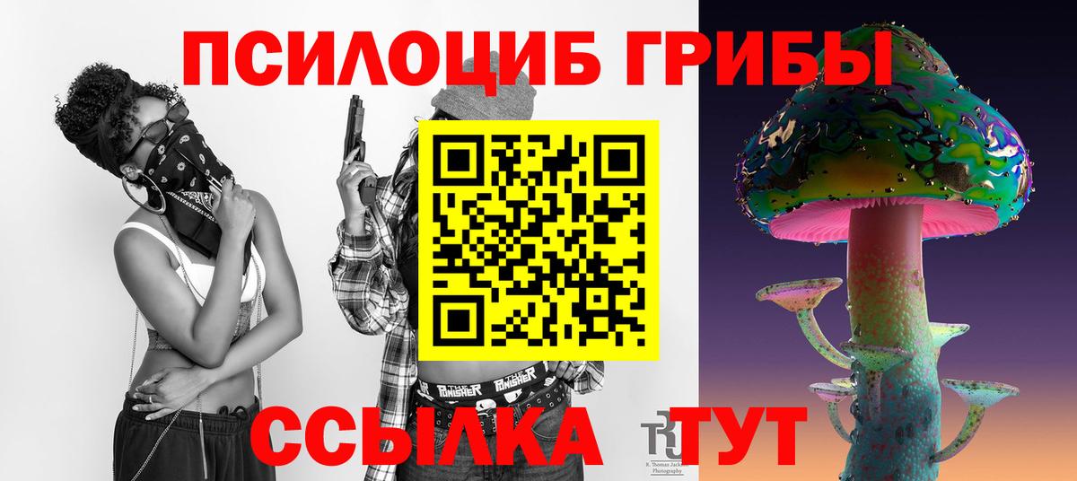 Галлюциногенные грибы Magic Shrooms Свободный